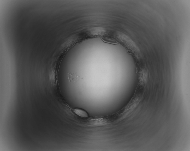 X0000102400428200808011550