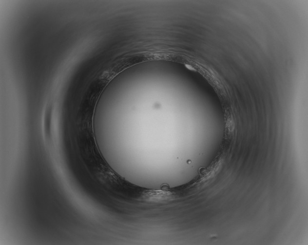 X0000102400429200808011550