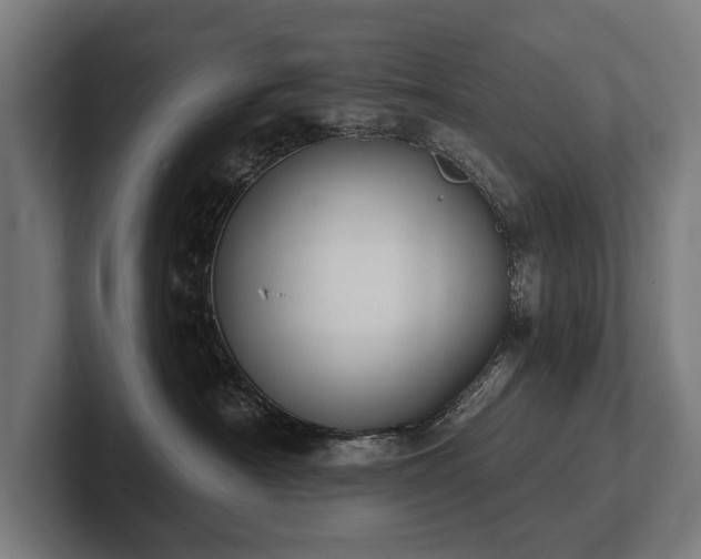 X0000102400430200808011550