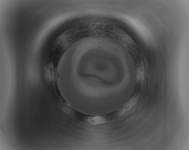 X0000102400431200808011550