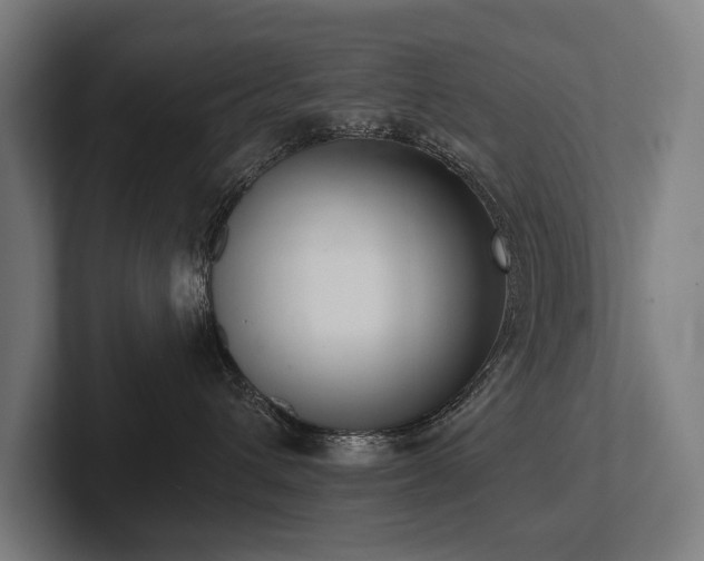 X0000102400432200808011550