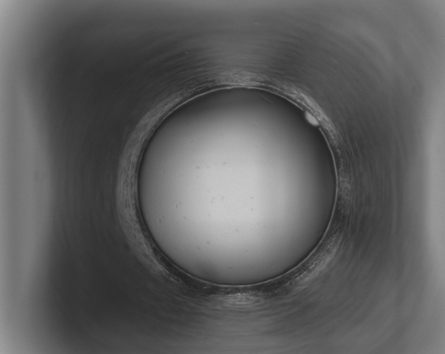 X0000102400433200808011549