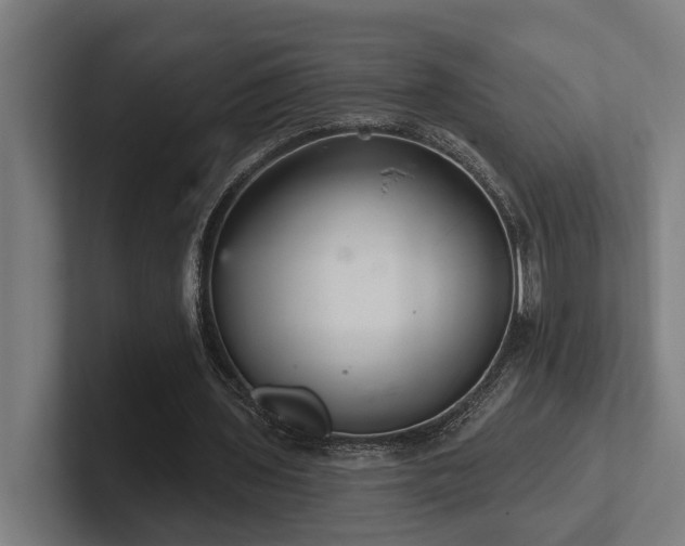 X0000102400435200808011550