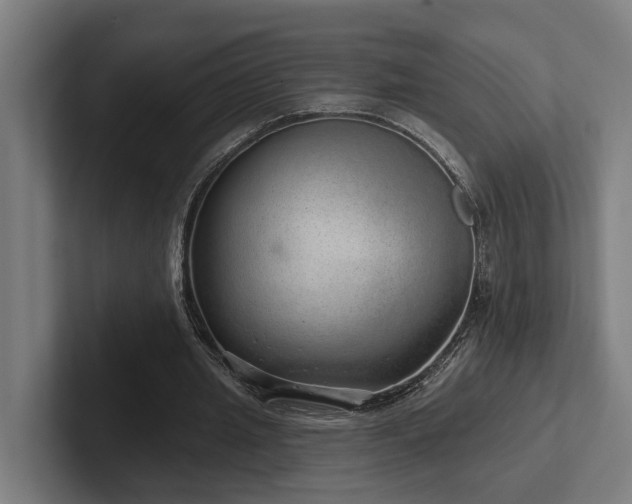 X0000102400437200808011550