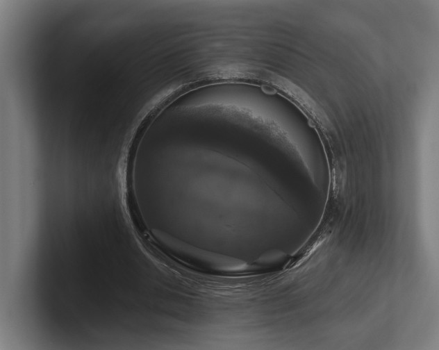 X0000102400438200808011550