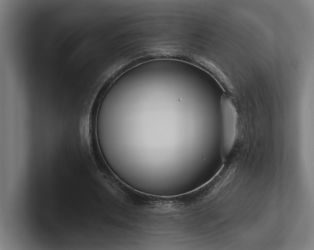 X0000102400439200808011550