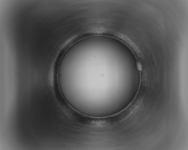 X0000102400440200808011550