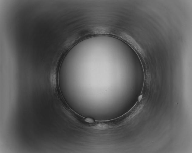 X0000102400441200808011550