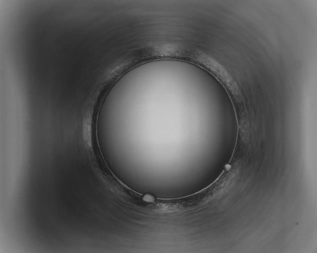 X0000102400442200808011550