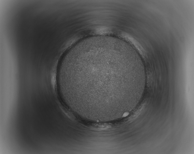 X0000102400443200808011550