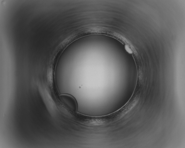 X0000102400445200808011550