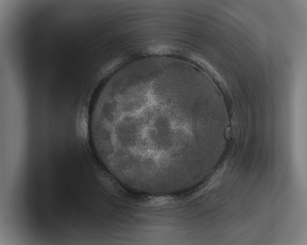 X0000102400446200808011550