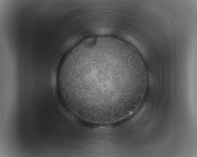 X0000102400447200808011550