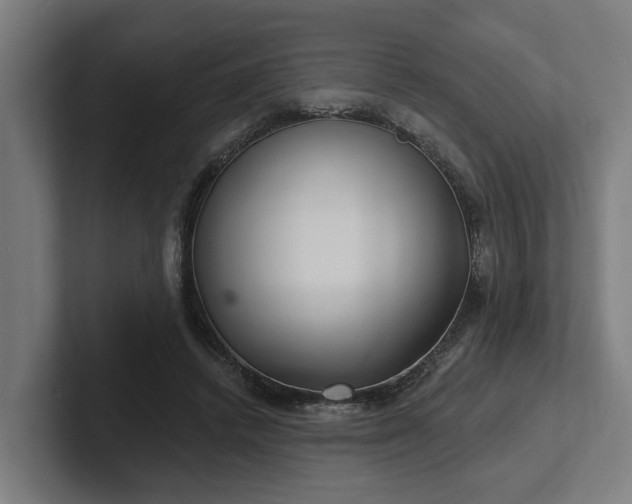 X0000102400448200808011550