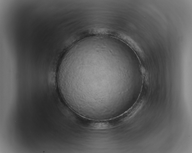 X0000102400449200808011550