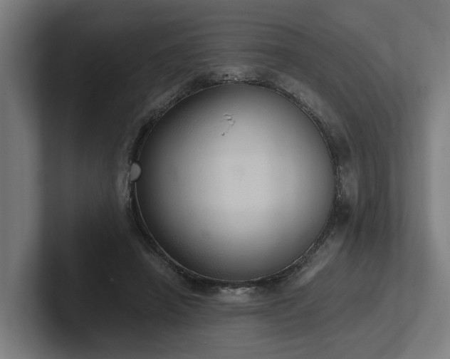 X0000102400450200808011550