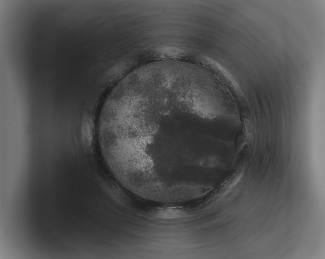 X0000102400451200808011550