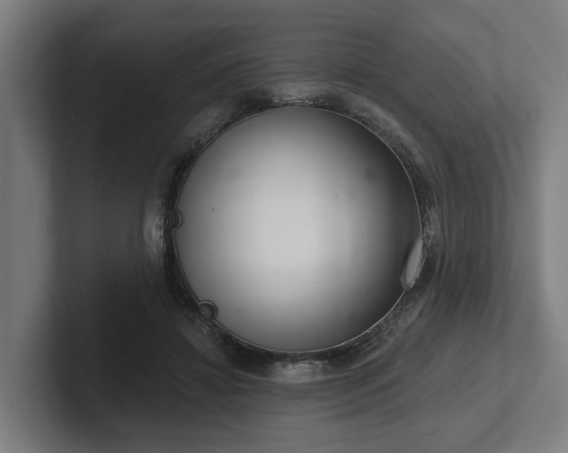 X0000102400452200808011550