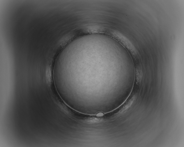 X0000102400453200808011550