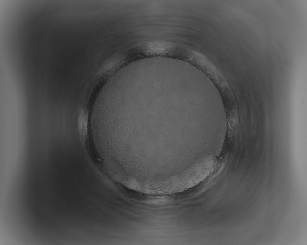 X0000102400454200808011550