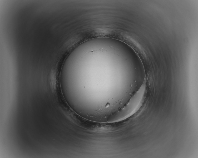 X0000102400455200808011550