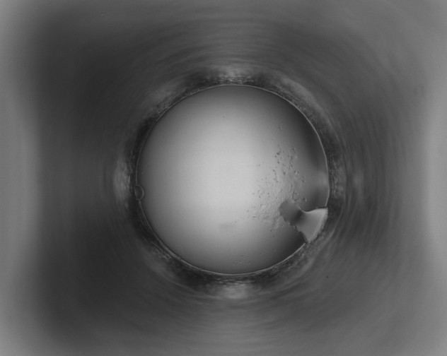 X0000102400456200808011550