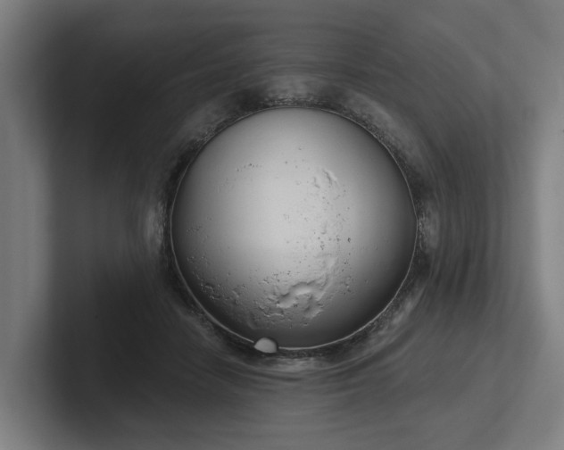 X0000102400458200808011550