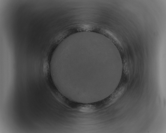 X0000102400459200808011550