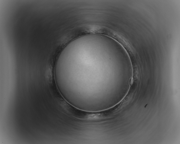 X0000102400461200808011550