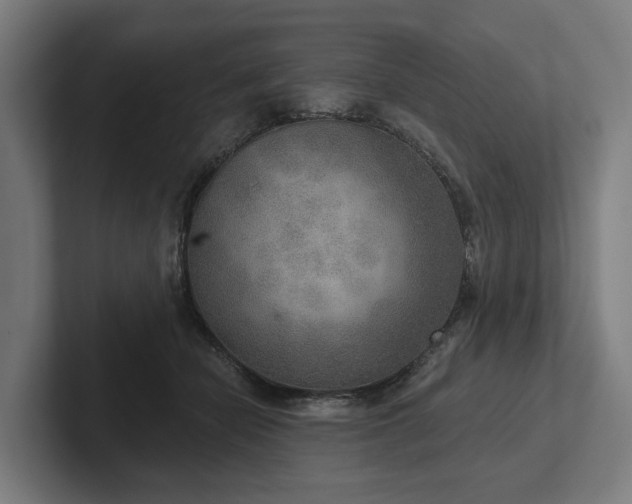 X0000102400462200808011550