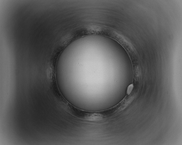 X0000102400463200808011550