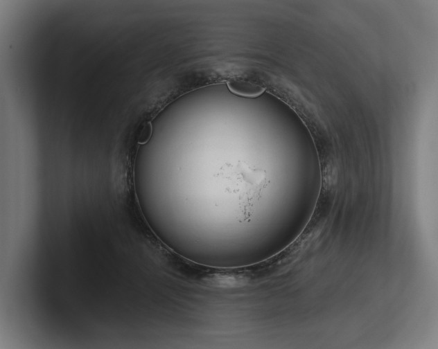 X0000102400464200808011550