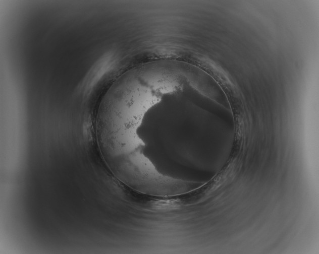 X0000102400465200808011550