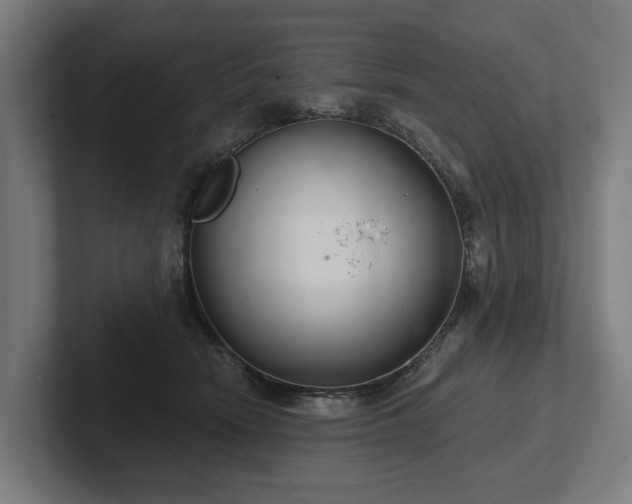 X0000102400466200808011550