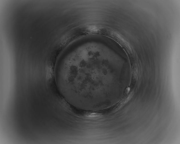 X0000102400467200808011550