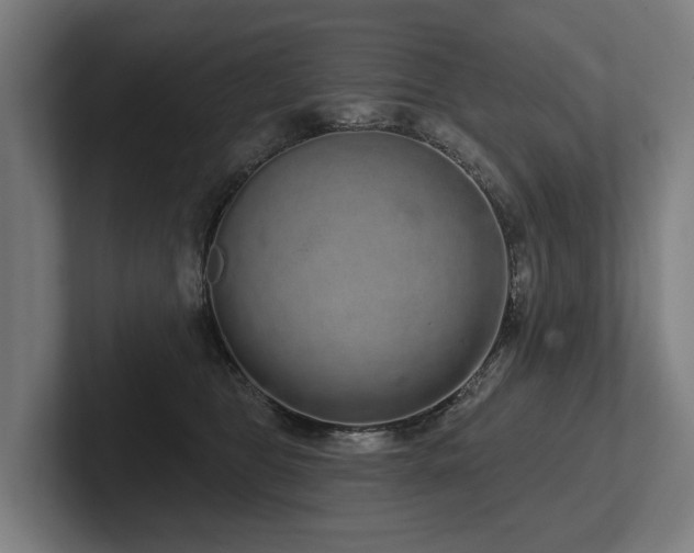 X0000102400469200808011550