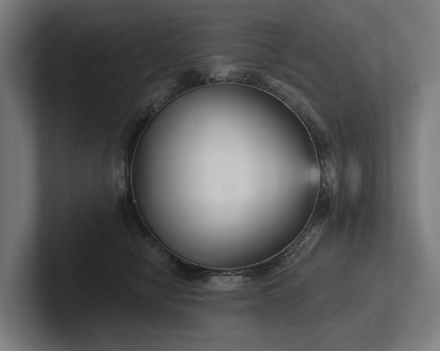 X0000102400470200808011550