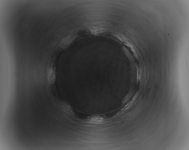 X0000102400471200808011550