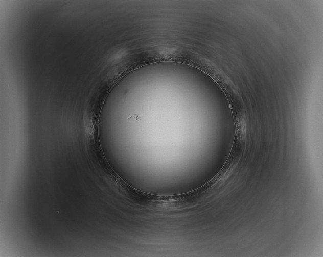 X0000102400472200808011550