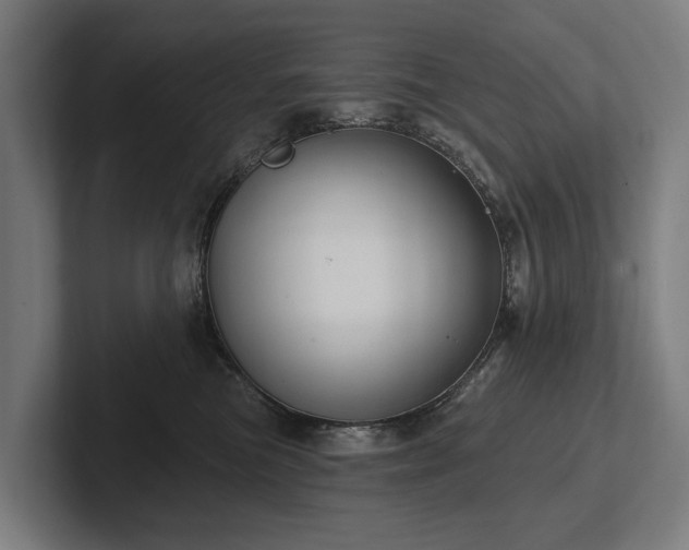 X0000102400473200808011550