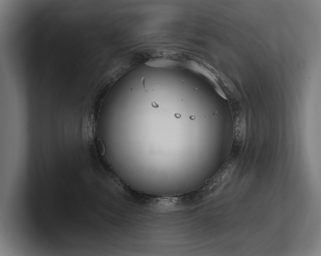 X0000102400474200808011550