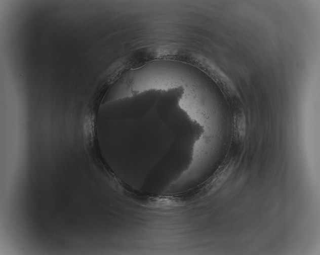 X0000102400475200808011550