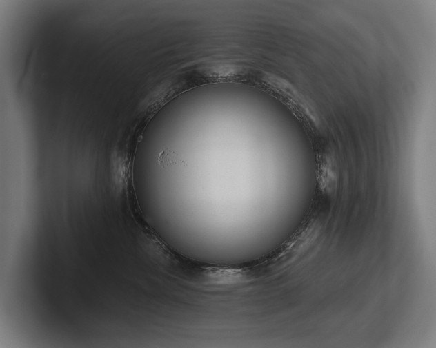 X0000102400476200808011550