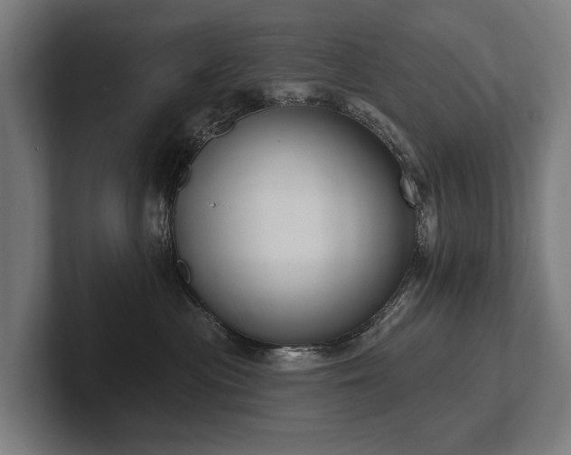 X0000102400477200808011550