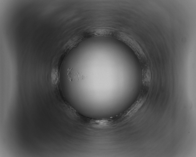 X0000102400478200808011550