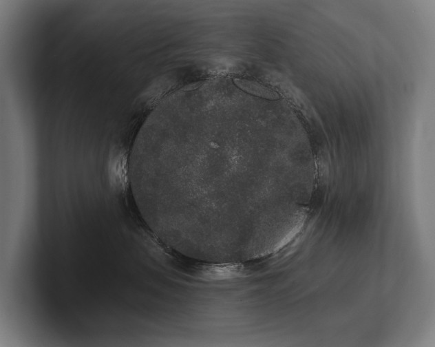 X0000102400479200808011550