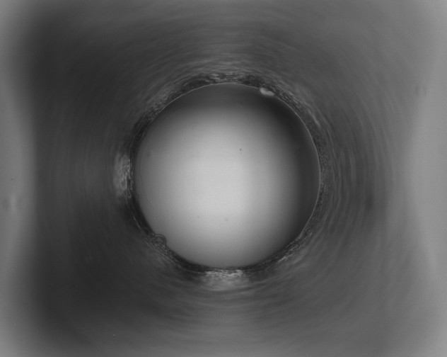 X0000102400480200808011550