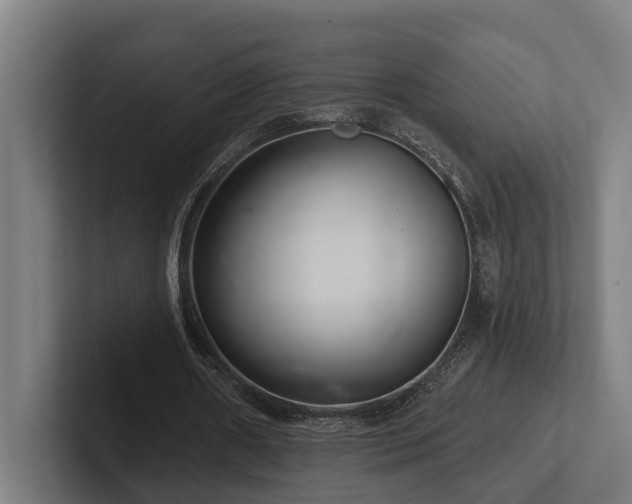 X0000102400482200808011549