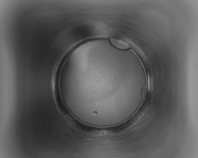 X0000102400483200808011549