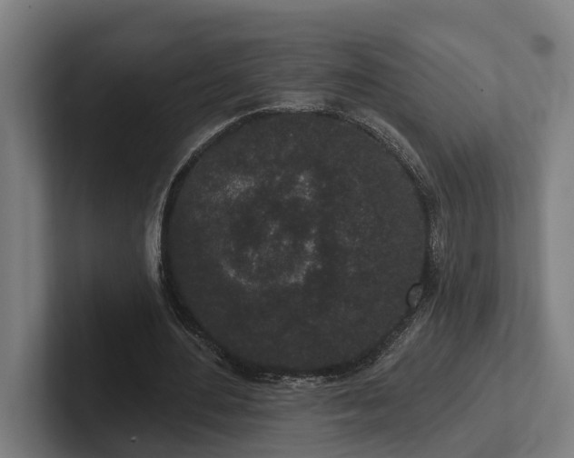 X0000102400484200808011549